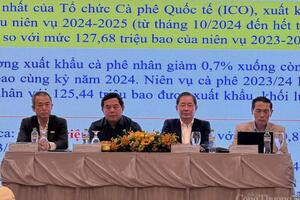 Cần sớm xây dựng thương hiệu cho cà phê Robusta Việt Nam