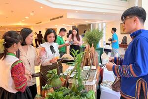 TP. Hồ Chí Minh liên kết các tỉnh phía Nam phát triển du lịch y tế