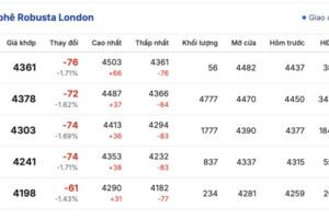 Giá cà phê hôm nay 29/10/2025: Đồng loạt sụt giảm