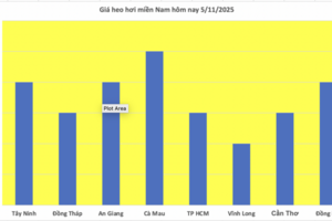 Giá heo hơi hôm nay 5/11/2025: Không ghi nhận đợt điều chỉnh mới