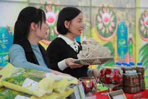 Thanh Hóa: Hàng trăm sản phẩm sạch quy tụ tại phiên chợ thực phẩm an toàn