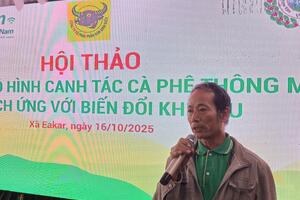 Canh tác cà phê thông minh - Giải pháp "vàng" cho nông dân Tây Nguyên