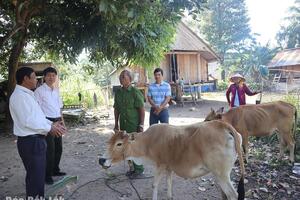 Hỗ trợ sinh kế - “Chìa khóa” giảm nghèo bền vững