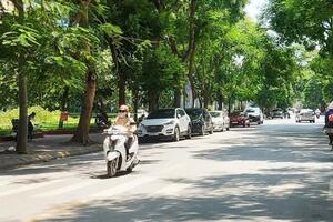 Ngày 14/11: Miền Bắc ngày nắng, đêm và sáng trời rét