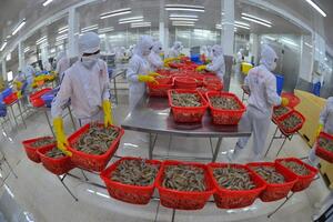 Hiệp định VIFTA: Động lực mới thúc đẩy hợp tác toàn diện Việt Nam - Israel