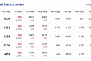 Giá cà phê hôm nay 24/11/2025: Thị trường chững lại