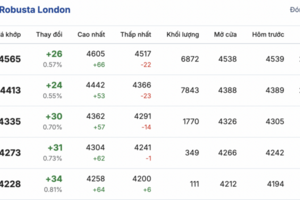 Giá cà phê hôm nay 01/12/2025: Đi ngang phiên đầu tuần