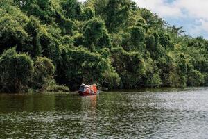 Khu bảo tồn Đồng Tháp Mười - 'trái tim xanh' gìn giữ bản sắc Nam Bộ