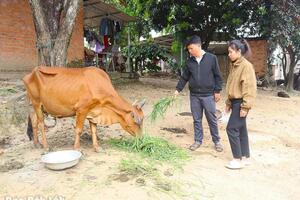 Mở lối sinh kế giúp hộ nghèo