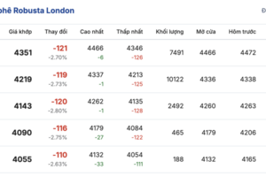 Giá cà phê hôm nay 3/12/2025: Giảm sâu 4.000 đồng/kg