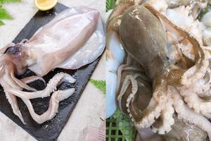Xuất khẩu mực, bạch tuộc lập kỷ lục nhờ sản phẩm tiện lợi