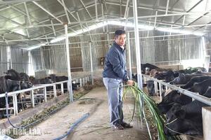 Hòa Sơn đầu tư hạ tầng, đẩy mạnh xây dựng nông thôn mới