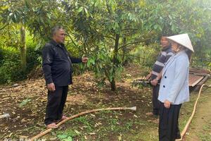 Buôn Hô khởi sắc