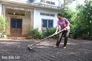 Mở lối sinh kế từ vốn vay ưu đãi