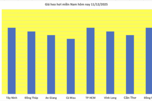 Giá heo hơi hôm nay 11/12/2025: Tăng trở lại
