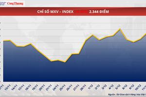 Giá ca cao giảm mạnh do lo ngại nguồn cung đã quay trở lại