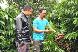 Xã Cư Pui: Hỗ trợ sinh kế, "khai phóng" nội lực để thoát nghèo bền vững