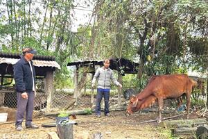 Mở hướng thoát nghèo bền vững ở xã Yang Mao