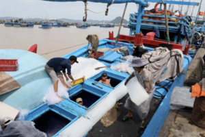 Đắk Lắk: 'Mạnh tay' với những tàu cá vi phạm khi vươn khơi