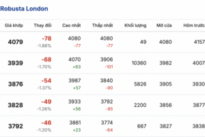 Giá cà phê hôm nay 8/1/2026: Tăng thêm 1.000 đồng/kg