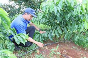 Ứng dụng công nghệ tưới tiên tiến: Hiệu quả cao nhưng chưa được nhân rộng