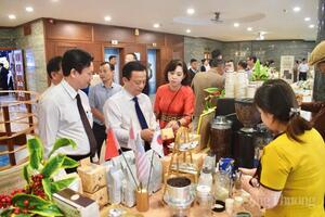 Gia Lai: Đặt mục tiêu vào nhóm 17 địa phương dẫn đầu đổi mới sáng tạo