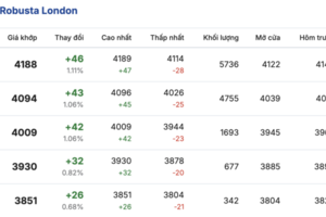 Giá cà phê hôm nay 27/1/2026: Tăng nhẹ tại Gia Lai