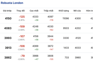 Giá cà phê hôm nay 29/1/2026: Tăng nhẹ 200 - 700 đồng/kg