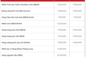 Giá vàng hôm nay 04/02/2026: Đảo chiều tăng, vượt mốc 4.900 USD