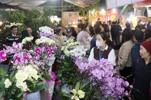 Hàng Việt lan tỏa về ngoại thành, giữ ổn định thị trường tết Bính Ngọ