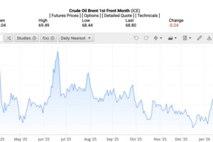 Giá xăng dầu hôm nay 11/2/2026: Đảo chiều giảm