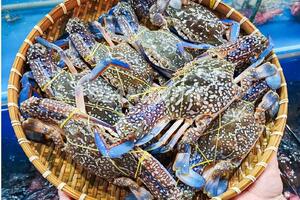 Xuất khẩu ghẹ Việt Nam cần chuyển hướng sang thị trường EU và CPTPP