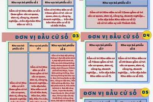 Thể lệ và nguyên tắc bỏ phiếu bầu cử đại biểu Quốc hội và Hội đồng nhân dân