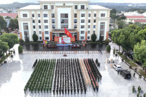 Đắk Lắk triệt phá nhiều đường dây tội phạm kinh tế