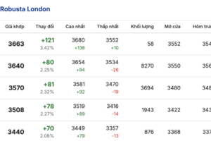 Giá cà phê hôm nay 25/2/2026: Giảm nhẹ 300 - 400 đồng/kg