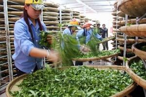 Xuất khẩu hàng hóa Việt Nam sang Pakistan tăng 19%