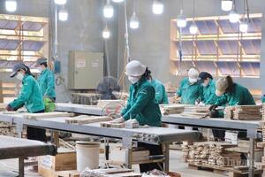 Gia Lai: Sản xuất công nghiệp giảm, bán lẻ và dịch vụ tăng