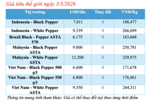 Giá tiêu hôm nay 3/3/2026: Giảm sâu