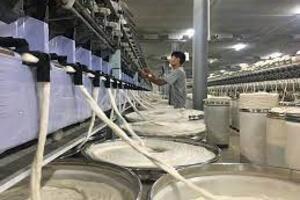 Xuất khẩu sang thị trường Indonesia: Làm sao vượt qua hàng rào bảo hộ?