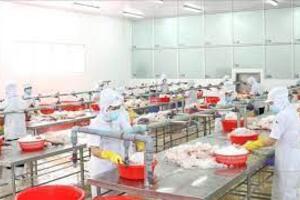 Doanh nghiệp ra quân sản xuất đầu năm