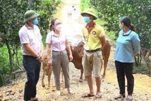 Vốn chính sách góp phần giảm nghèo, xây dựng nông thôn mới