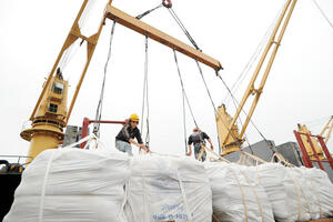 Nhiều hợp đồng, xuất khẩu gạo tăng mạnh