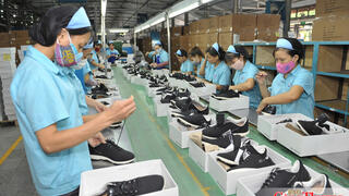 FTA Index 2025: Thước đo hiệu quả công tác hội nhập