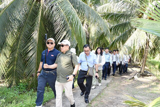 Kết nối, nâng cao chuỗi giá trị ngành dừa