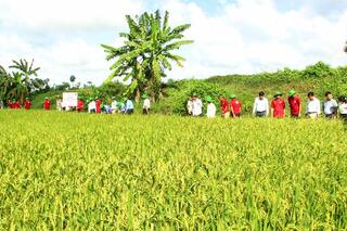 Nhiều diện tích nông nghiệp, thủy sản được chứng nhận chất lượng