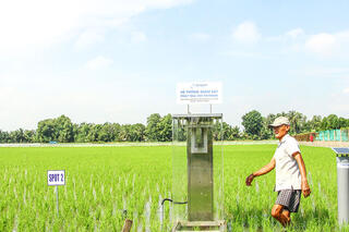 Thúc đẩy phát triển nông nghiệp xanh