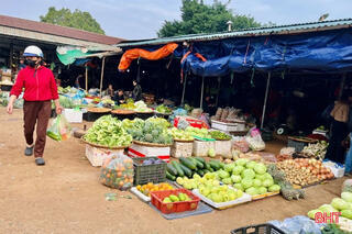 Nguồn cung giảm, giá rau tăng trở lại