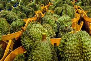 Giá nông sản hôm nay 10/4: Giá sắn tươi tăng mạnh; giá ớt giảm kỷ lục