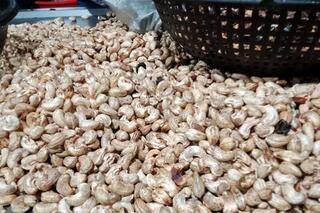 Giá nông sản hôm nay 20/4/2026: Nhiều hàng vào mùa, được giá