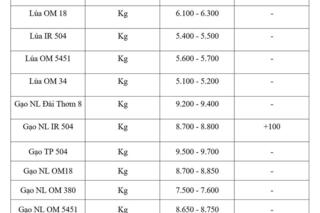 Giá lúa gạo hôm nay ngày 7/5: Gạo nguyên liệu xuất khẩu diễn biến trái chiều